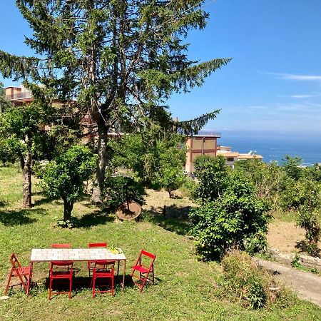 Ricomincio Da Te Villa Vico Equense Dış mekan fotoğraf
