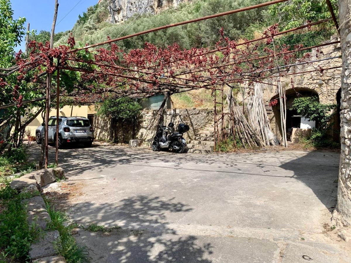 Ricomincio Da Te Villa Vico Equense Dış mekan fotoğraf