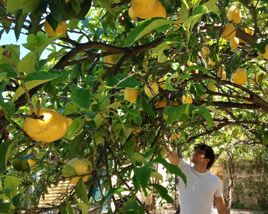 Ricomincio Da Te Villa Vico Equense Dış mekan fotoğraf