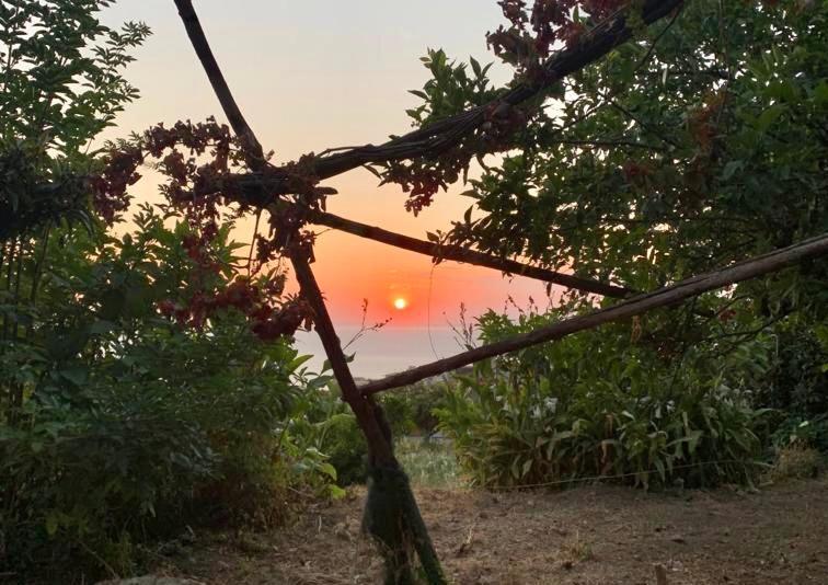Ricomincio Da Te Villa Vico Equense Dış mekan fotoğraf