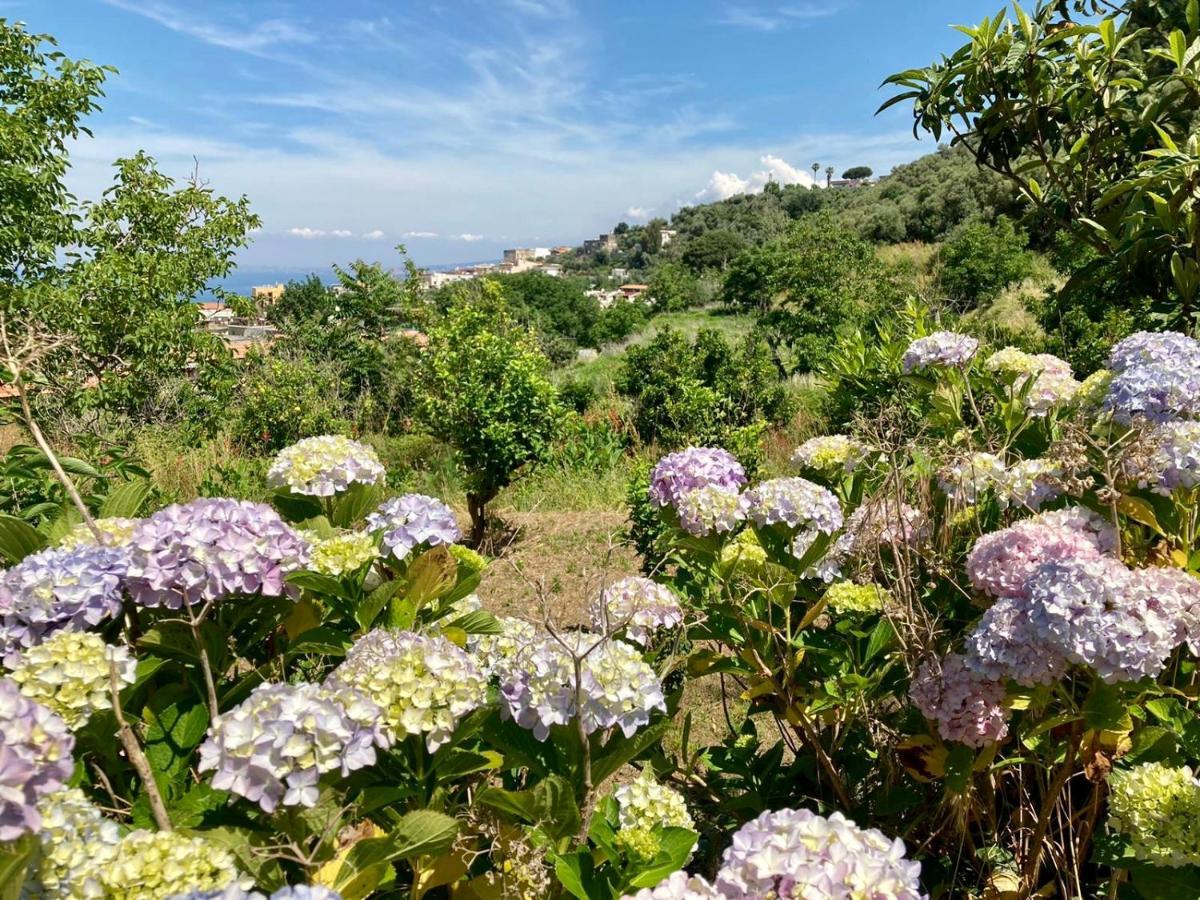 Ricomincio Da Te Villa Vico Equense Dış mekan fotoğraf