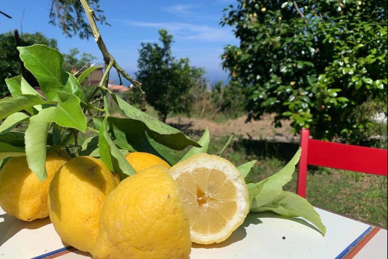 Ricomincio Da Te Villa Vico Equense Dış mekan fotoğraf